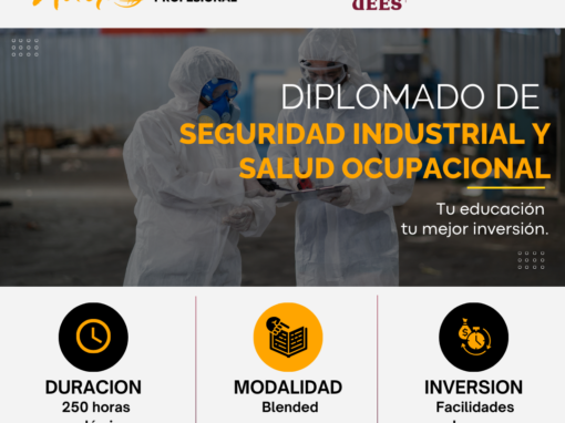 SEGURIDAD INDUSTRIAL Y SALUD OCUPACIONAL