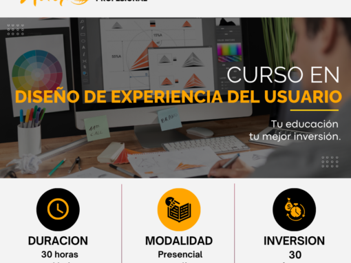 CURSO EN DISEÑO DE EXPERIENCIA DEL USUARIO