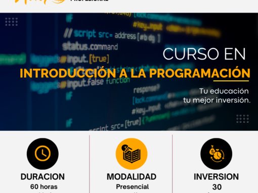 CURSO EN INTRODUCCIÓN A LA PROGRAMACIÓN